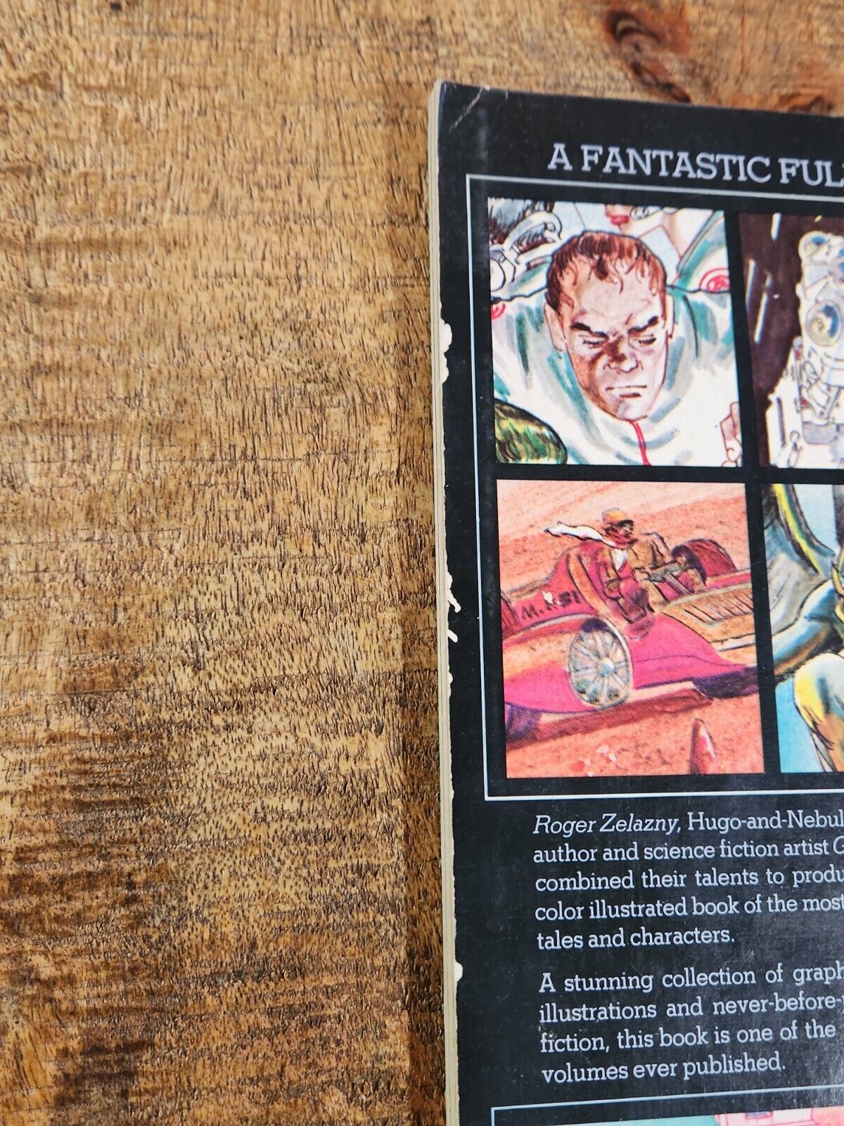 The Illustrated Roger Zelazny SC Graphic Novel 1978 Comic Art Book Morrow