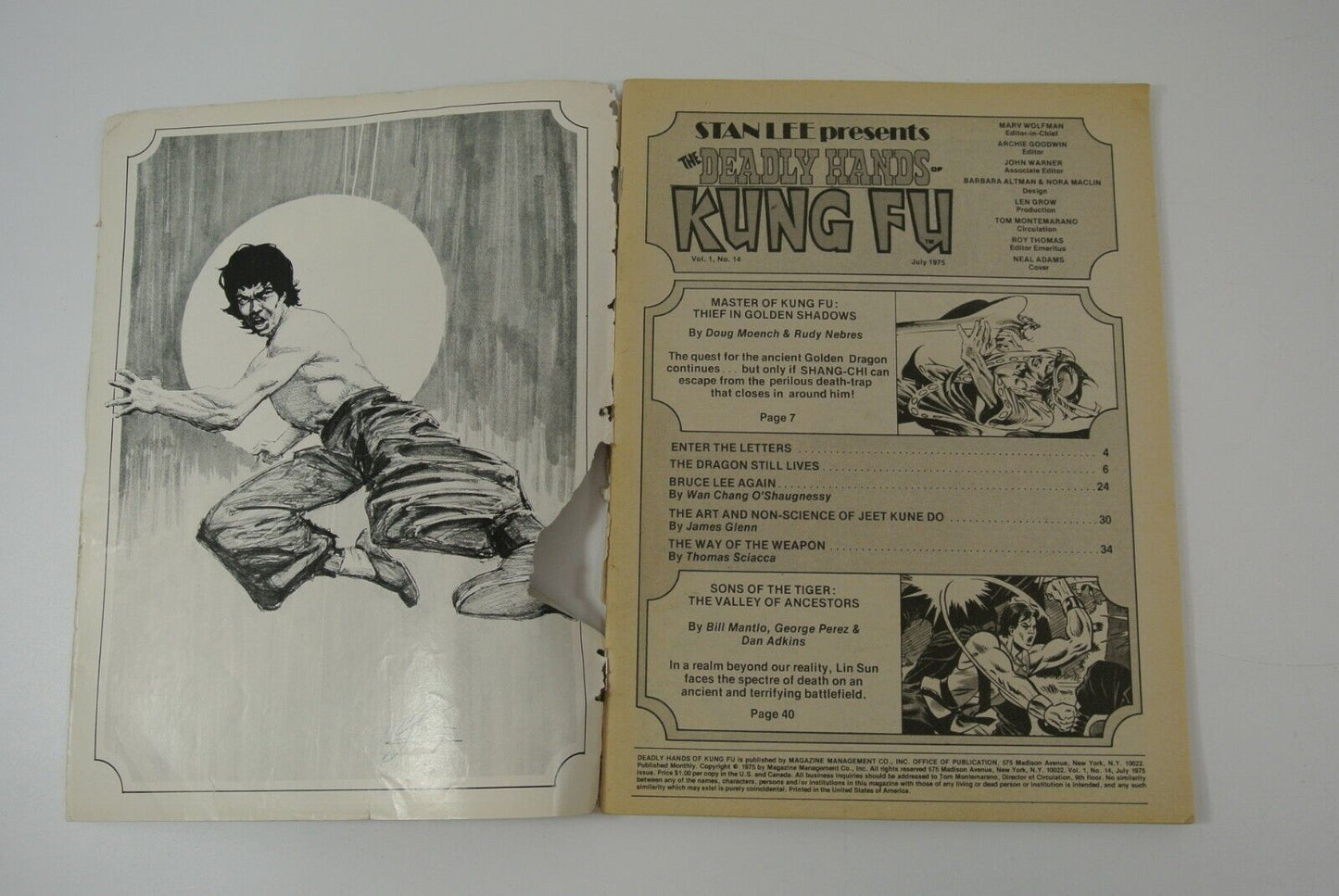 Deadly Hands of Kung Fu Magazine #14 15 Bruce Lee Shang Chi Curtis 1975 LOT