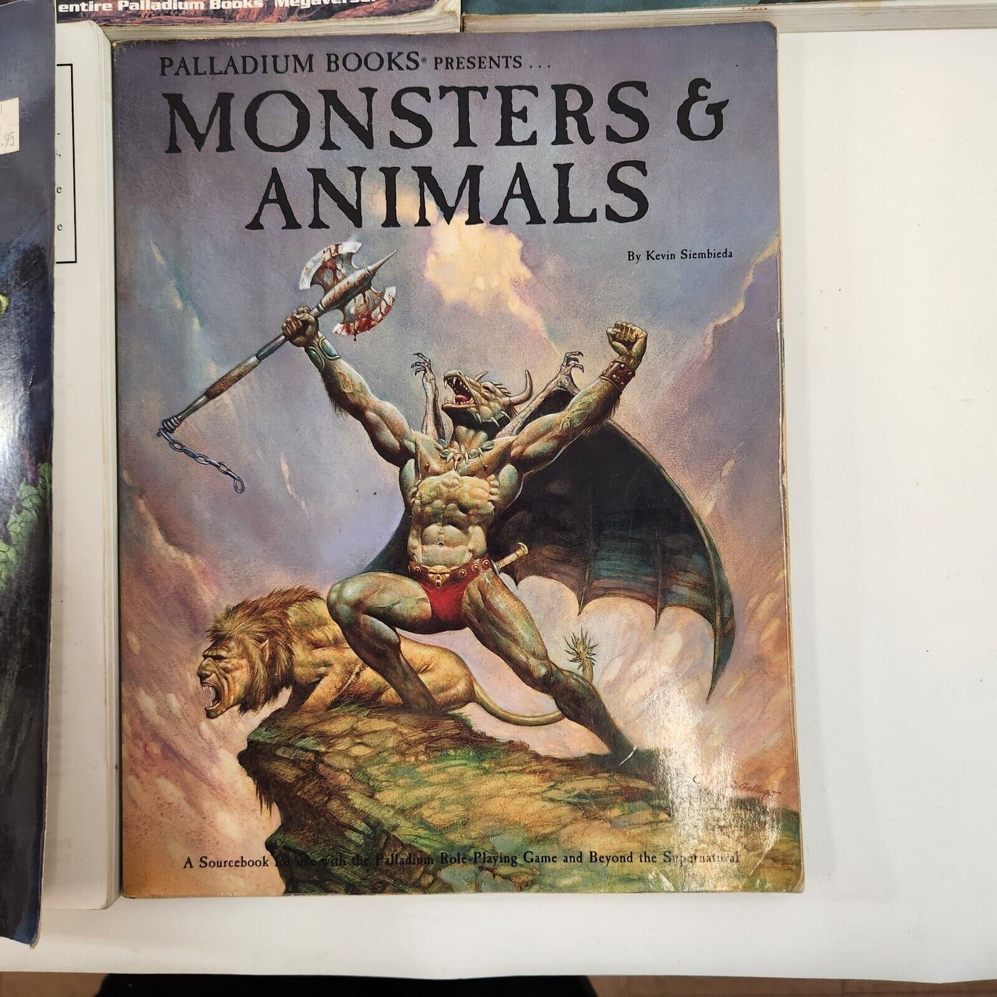 Palladium RPG Book Lot Rifts Rifters Dragons Gods Monsters Animals Fantasy Guide