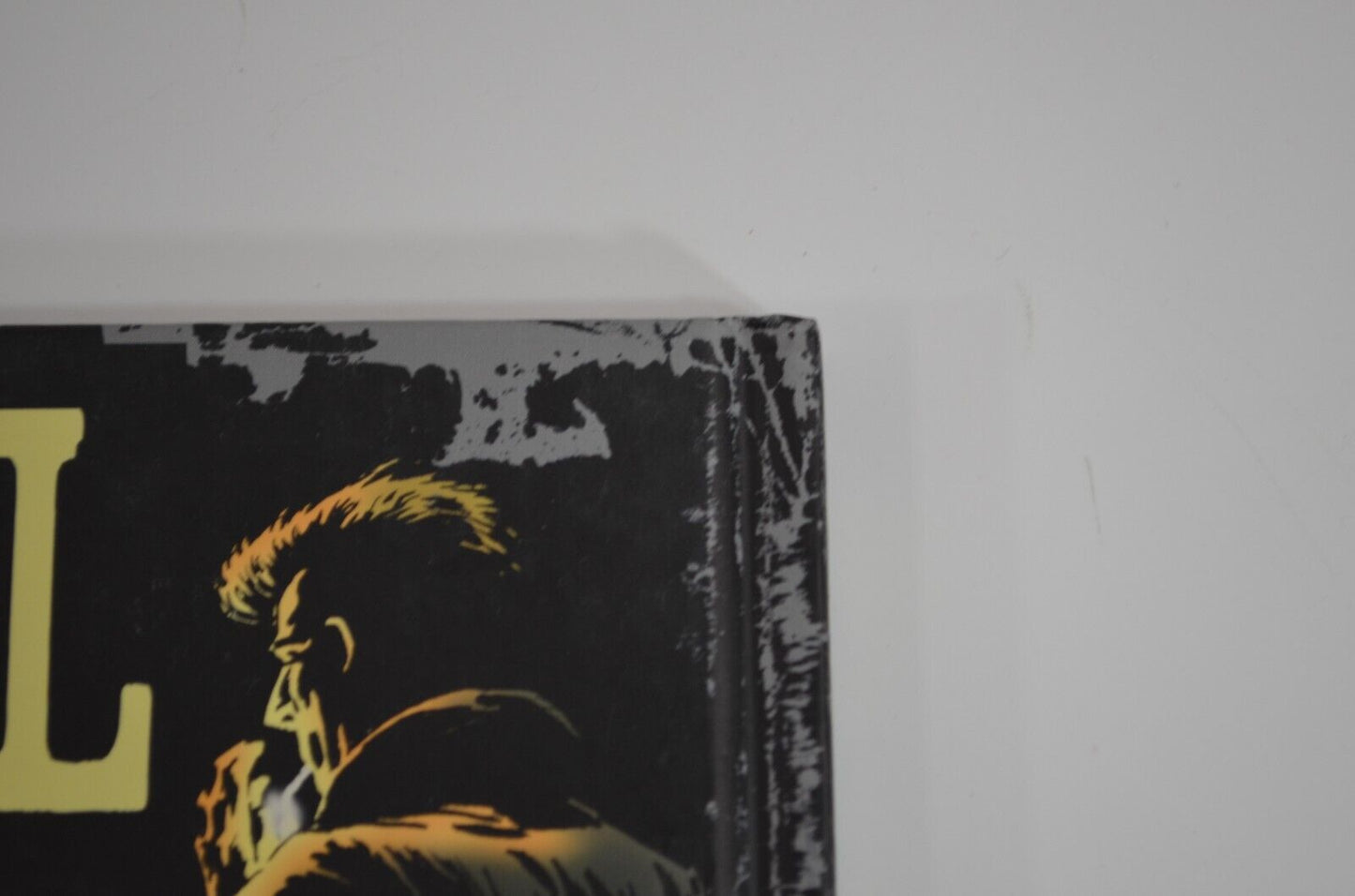 The Ghoul Hardcover Comic Book Niles Wrightson HC IDW 2010